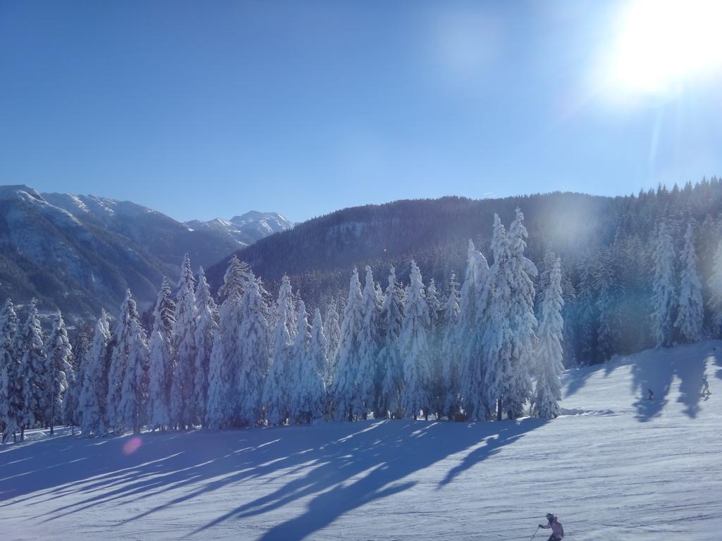 Ausserraingut Flachau Exterior foto